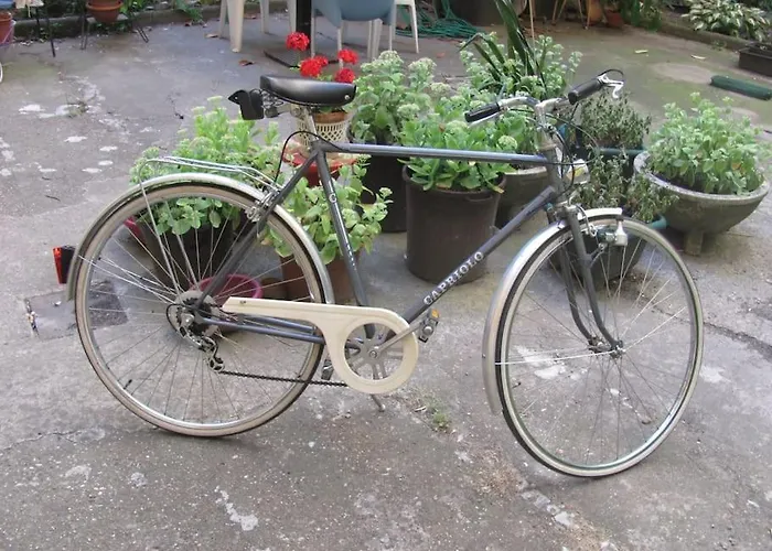 Raday Street - Your Own Ruin Pub In Budapest